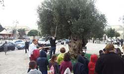 15 11 18 scuola