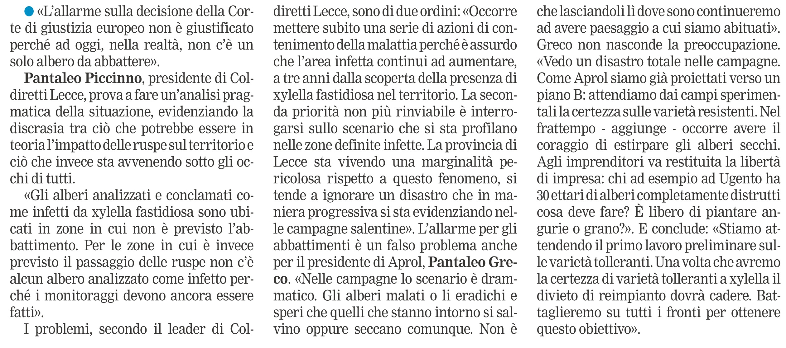 lagazmezz