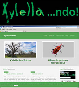 Xylellando