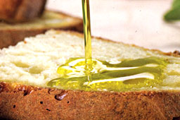 qualita olio